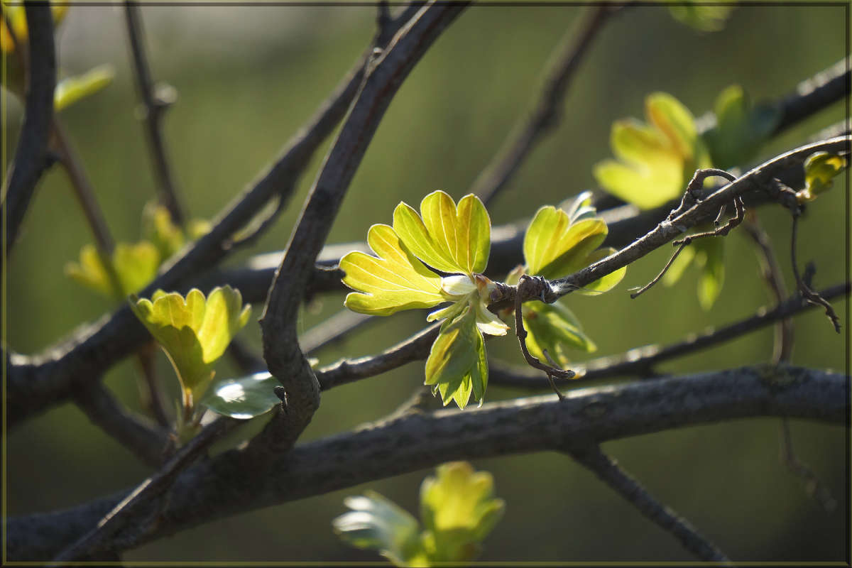 "����������� ����� 11" ����� ������ ������ �� PhotoGeek.ru #������ ��� �������