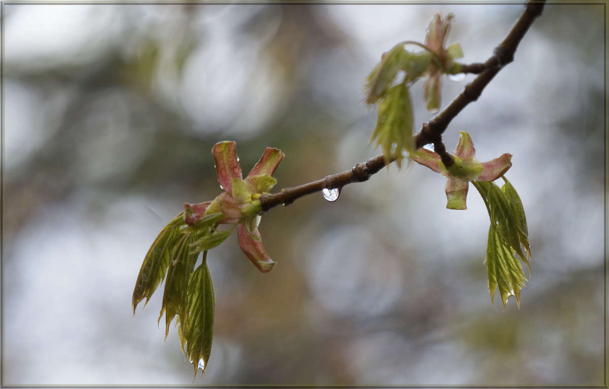 ����������� ����� 15 ����� ������ ������ �� PhotoGeek.ru #������ ��� �������