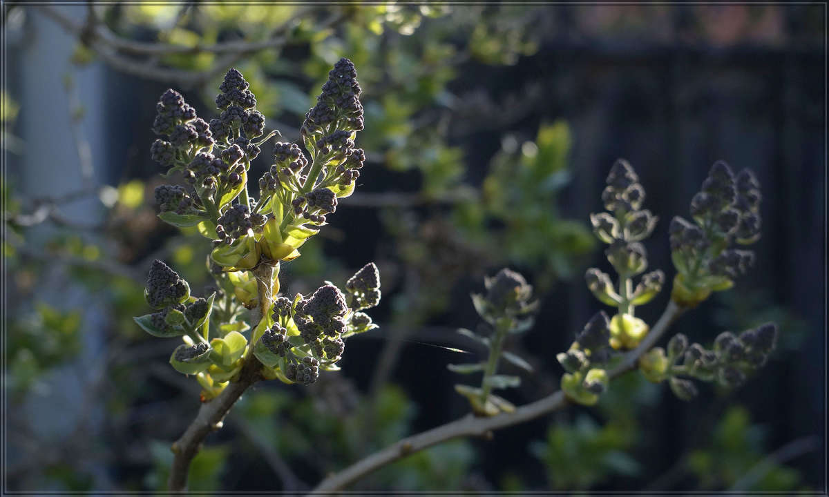 ����������� ����� 19 ����� ������ ������ �� PhotoGeek.ru #������ ��� �������