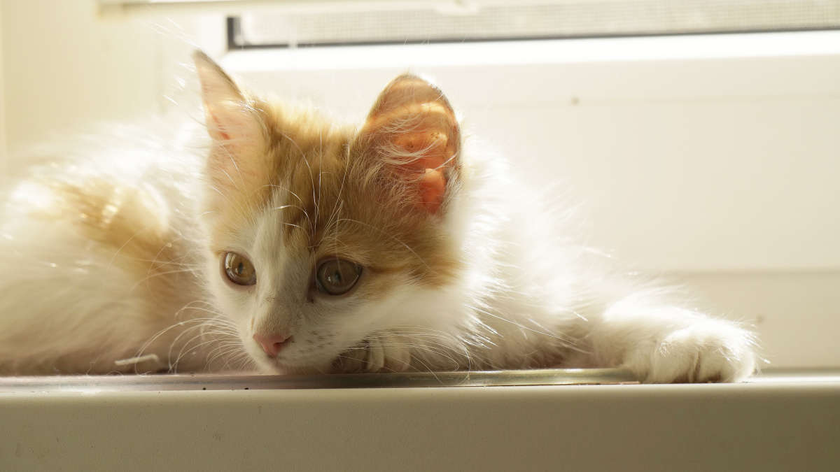 "�����" ����� ������ ������ �� PhotoGeek.ru #�������� ���