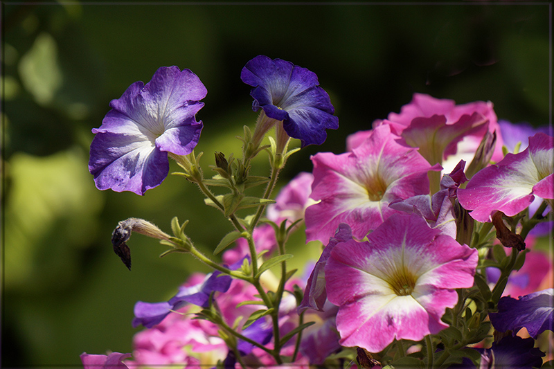 "������� ������� 2" ����� ������ ������ �� PhotoGeek.ru #������ ��� �������