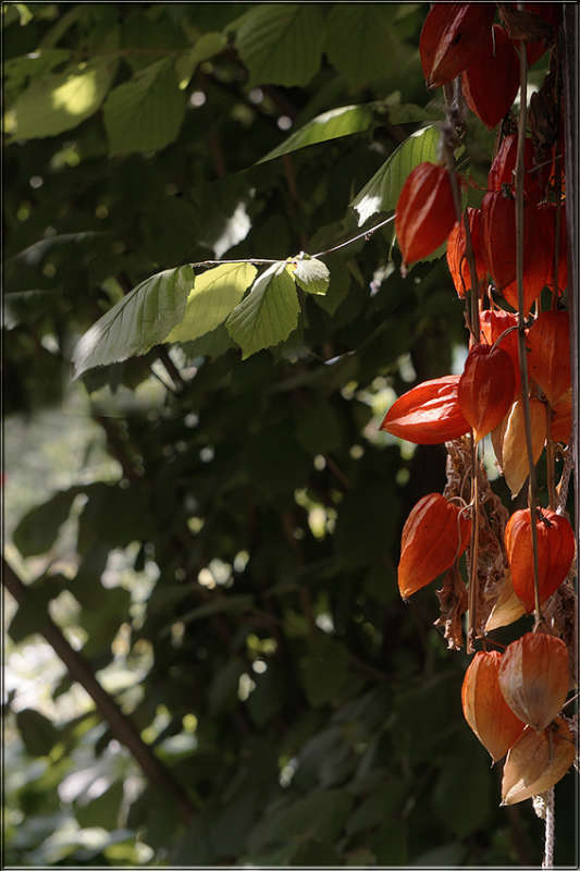 "������� ���������" ����� ������ ������ �� PhotoGeek.ru #������ ��� �������