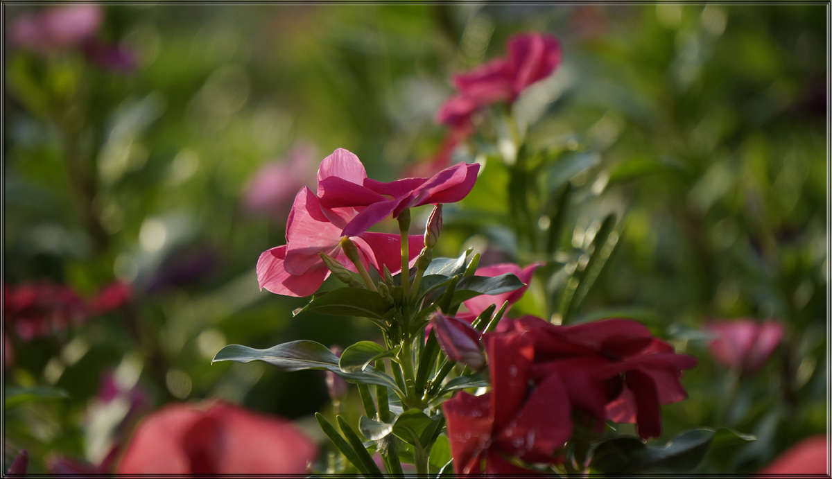 ... ����� ������ ������ �� PhotoGeek.ru