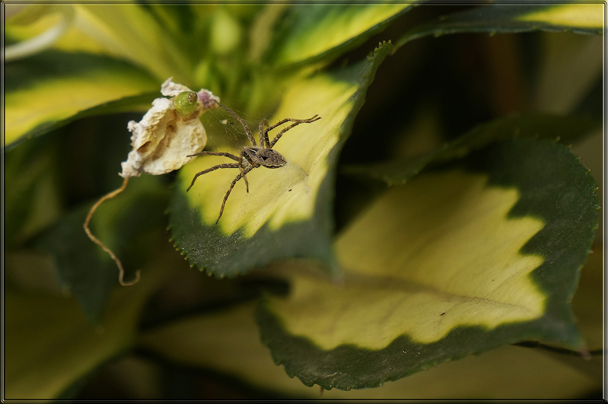 "�� ������ ������ �" ����� ������ ������ �� PhotoGeek.ru #�����