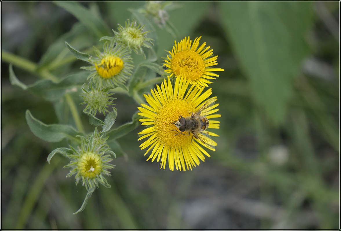 "������ � ����� �" ����� ������ ������ �� PhotoGeek.ru #������ ��� �������