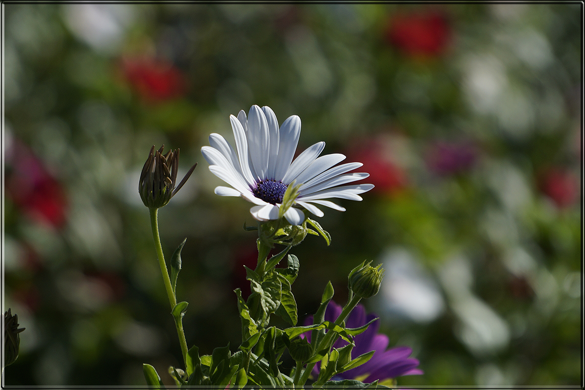 "�� ������ 3 �" ����� ������ ������ �� PhotoGeek.ru #������ ��� �������