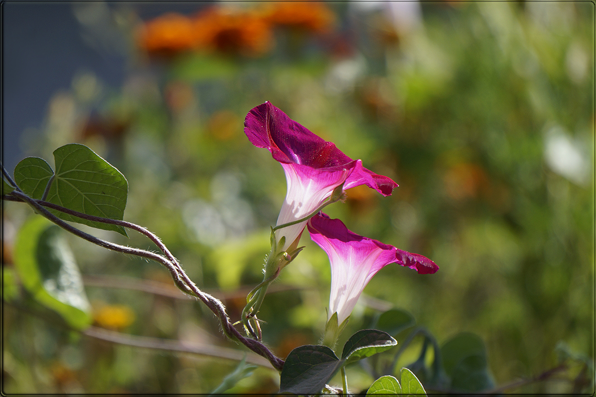 "�� ������ �" ����� ������ ������ �� PhotoGeek.ru #������ ��� �������