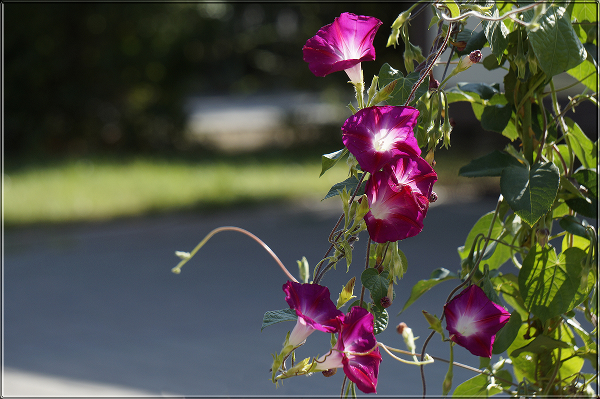 "�� ������ 6 �" ����� ������ ������ �� PhotoGeek.ru #������ ��� �������