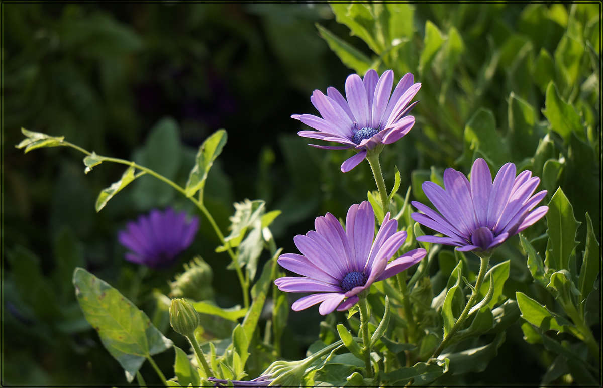 "�� ������ 4 �" ����� ������ ������ �� PhotoGeek.ru #������ ��� �������