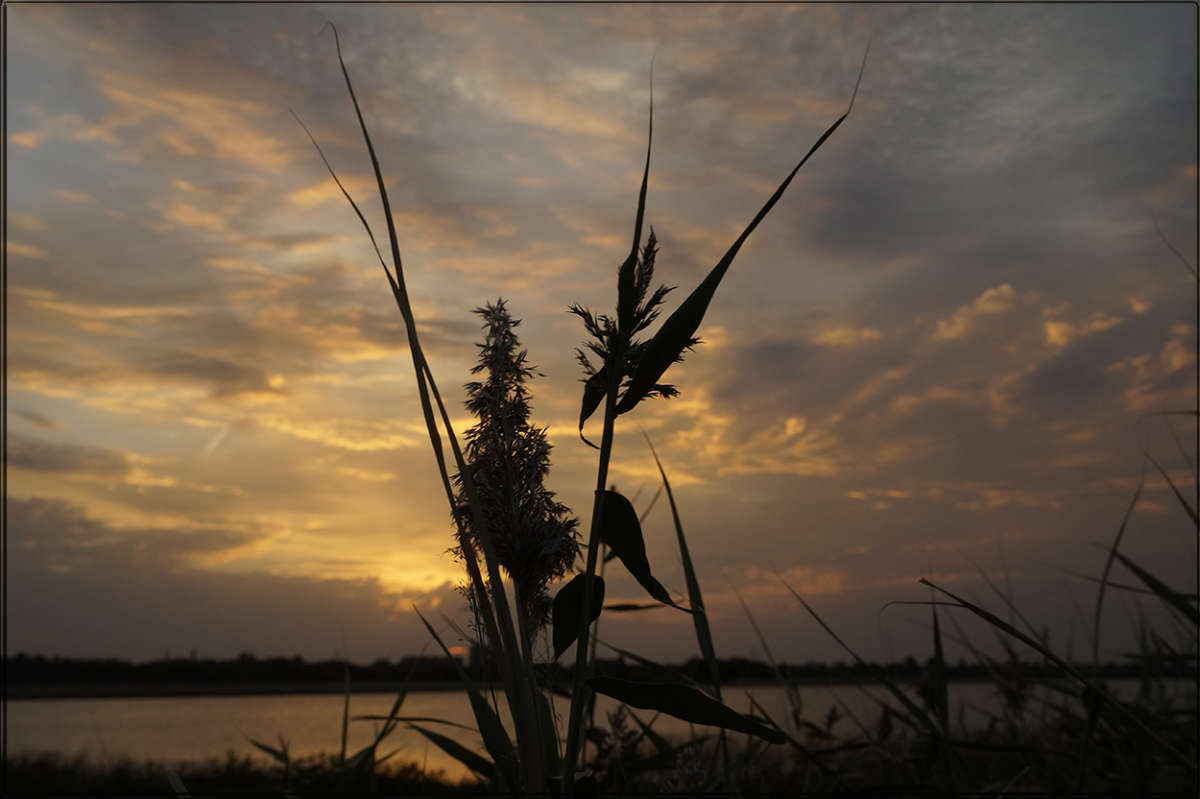 "������ �� ������� 2" ����� ������ ������ �� PhotoGeek.ru #������ ��� �������