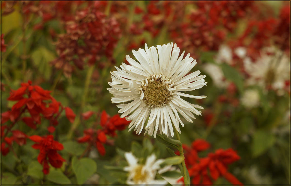 ��������� ������� ����� ������ ������ �� PhotoGeek.ru #������ ��� �������