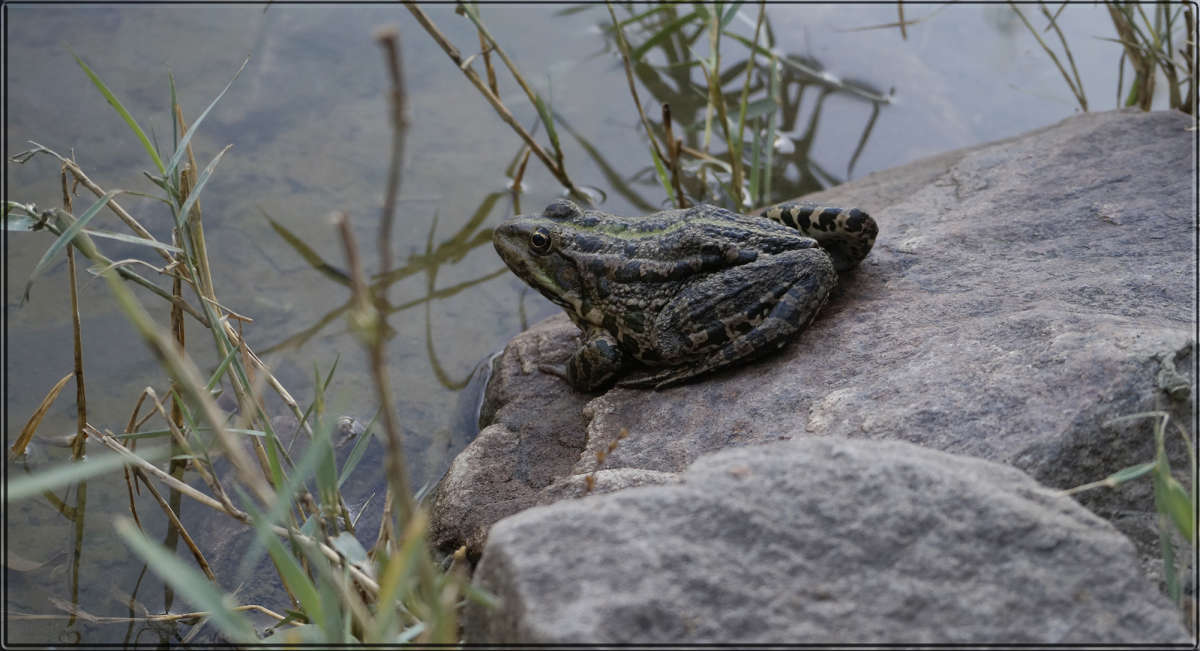 ������� ��������� ����� ������ ������ �� PhotoGeek.ru #�������� ���