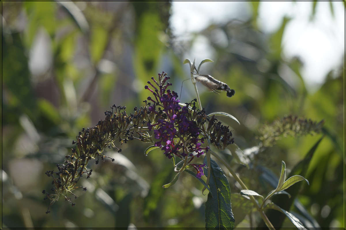 "������ �������� 3" ����� ������ ������ �� PhotoGeek.ru #������ ��� �������