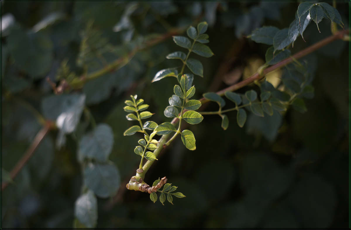 ������ �������� ����� ������ ������ �� PhotoGeek.ru #������ ��� �������