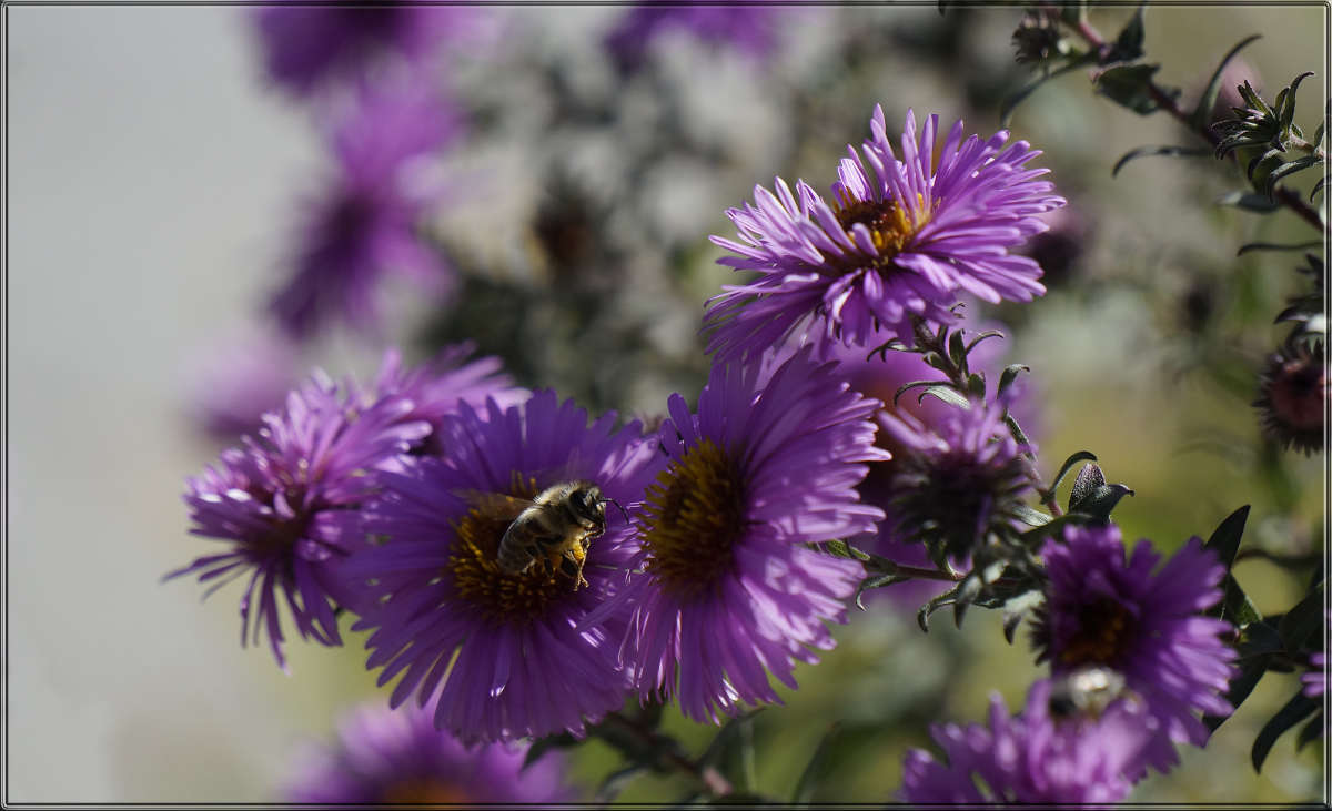 "��������� ������� 8 �" ����� ������ ������ �� PhotoGeek.ru #������ ��� �������