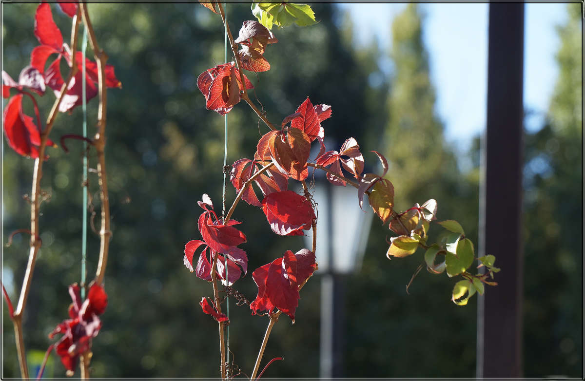 "�� ���� �����������" ����� ������ ������ �� PhotoGeek.ru #�������� ����������