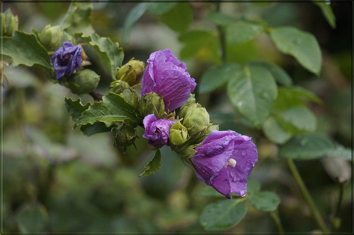 "����� �������� � ������� 3" ����� ������ ������ �� PhotoGeek.ru #������ ��� �������