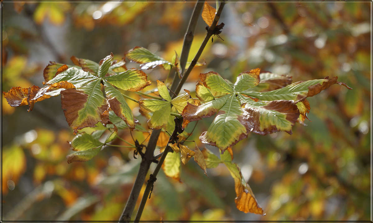 "����� �������� � ������� 2" ����� ������ ������ �� PhotoGeek.ru #������ ��� �������