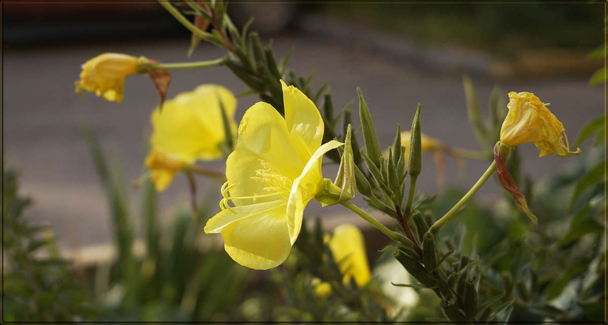 "���� ������ 2" ����� ������ ������ �� PhotoGeek.ru #������ ��� �������