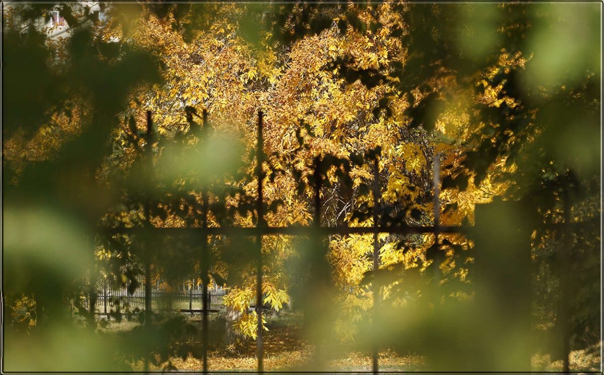 "������������ ������� 18" ����� ������ ������ �� PhotoGeek.ru #������ ��� �������