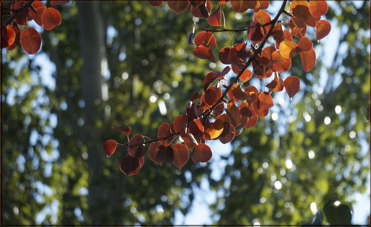 "������ ����� ������" ����� ������ ������ �� PhotoGeek.ru #������ ��� �������