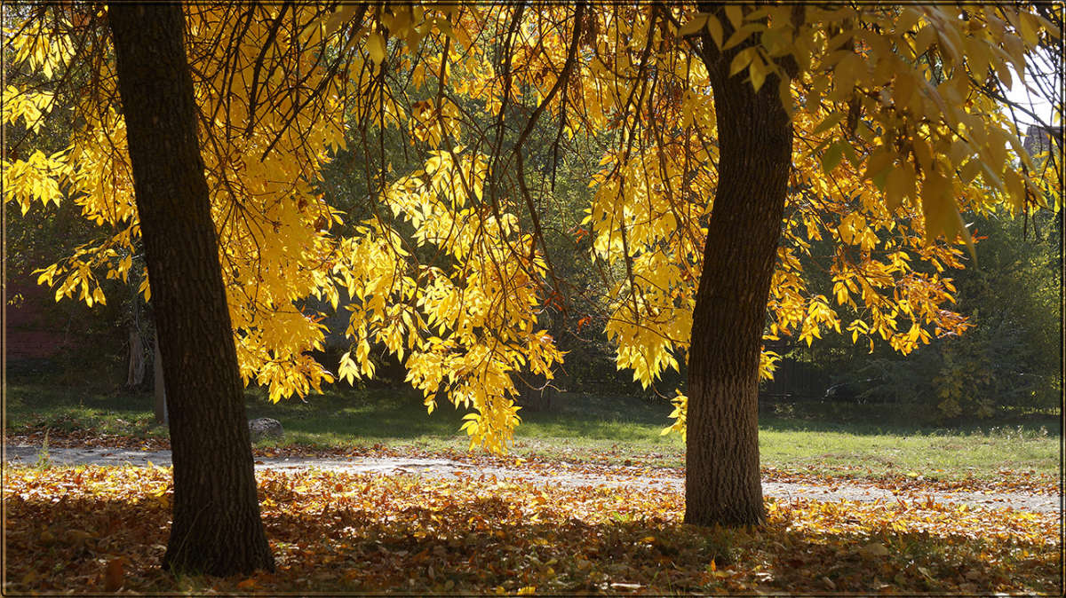 "������������ ������� 17" ����� ������ ������ �� PhotoGeek.ru #������ ��� �������