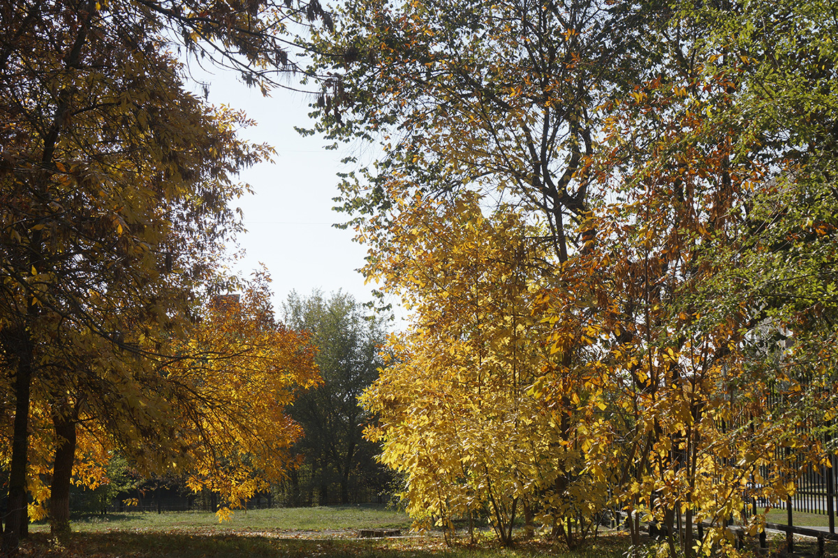 ������������ ������� 15 ����� ������ ������ �� PhotoGeek.ru #������ ��� �������