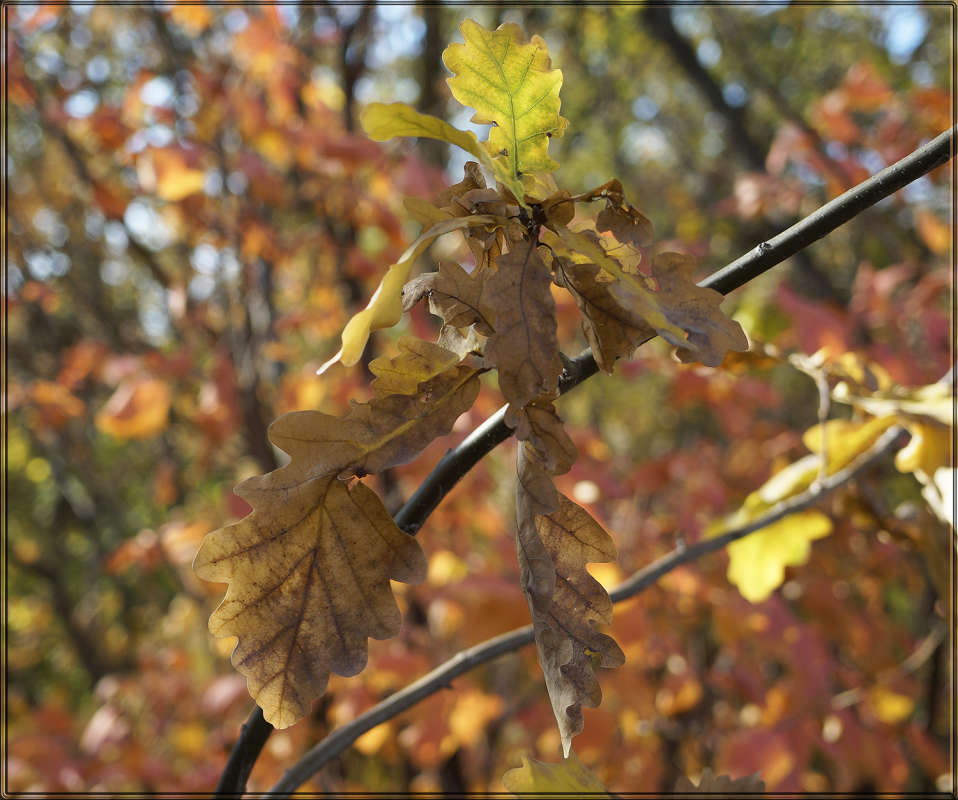 "�� �������� � ������" ����� ������ ������ �� PhotoGeek.ru #������ ��� �������