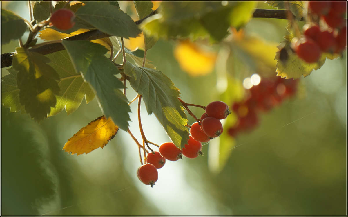 "��������� ���������" ����� ������ ������ �� PhotoGeek.ru #������ ��� �������