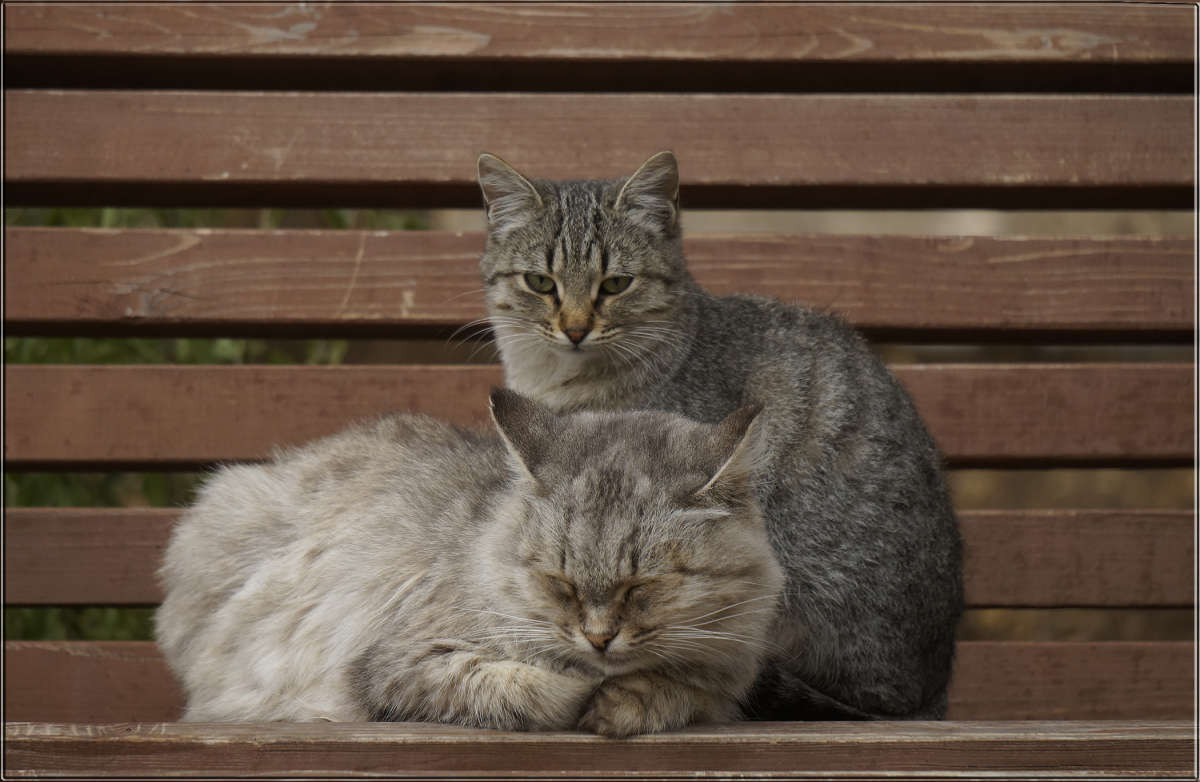 "�������� � �������" ����� ������ ������ �� PhotoGeek.ru #�������� ���