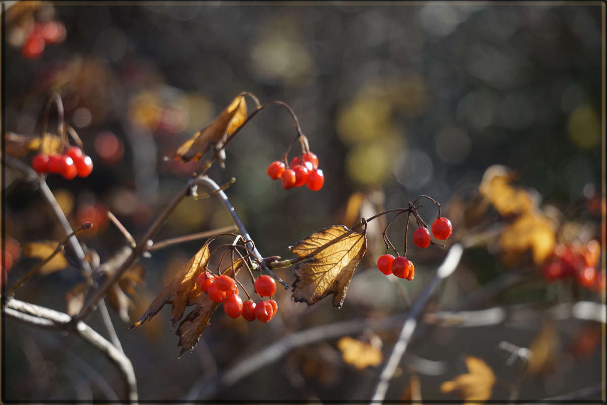 "������ 2" ����� ������ ������ �� PhotoGeek.ru #������ ��� �������