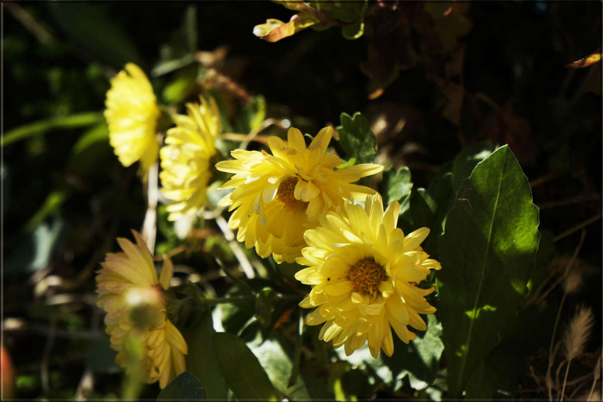 "����� ��������� 4" ����� ������ ������ �� PhotoGeek.ru #������ ��� �������