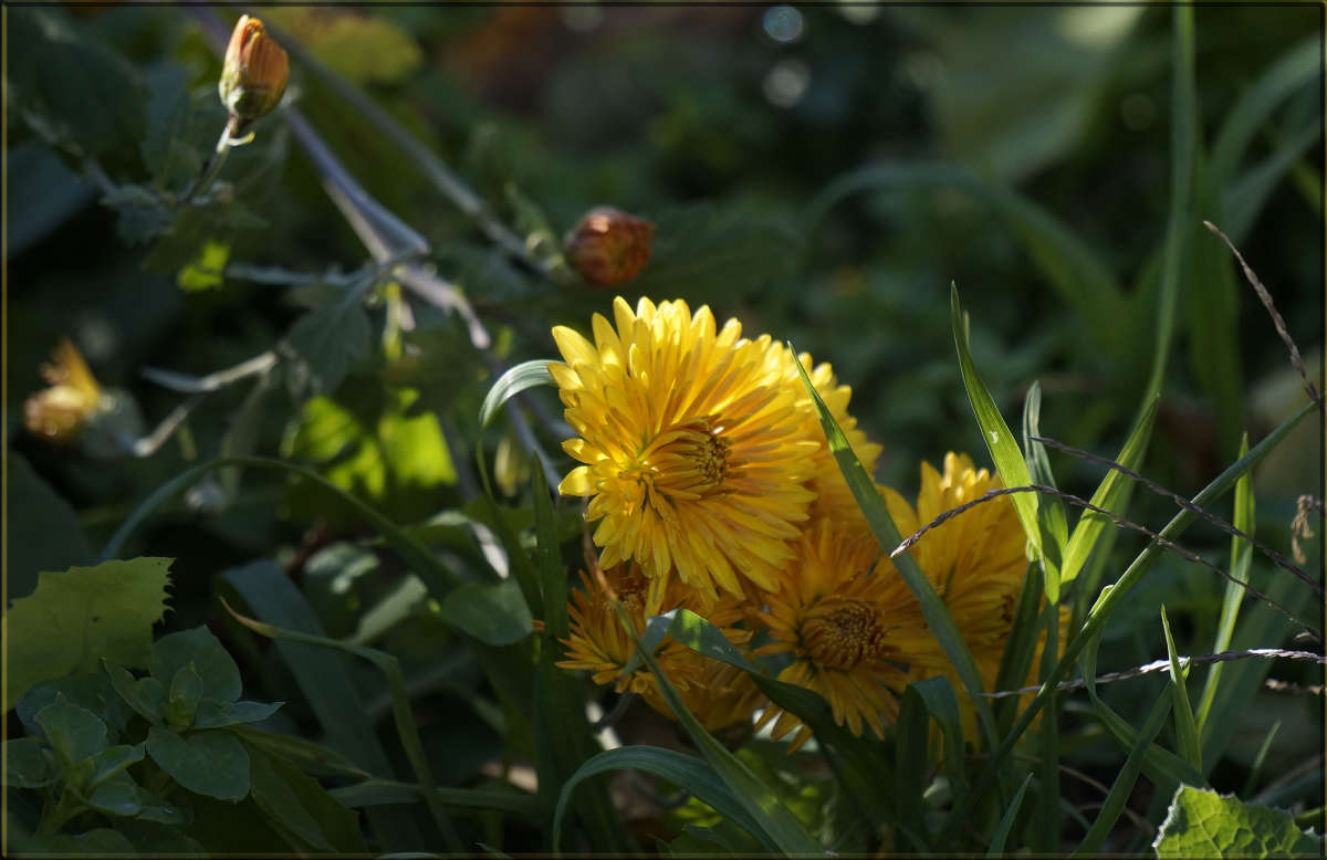 "������" ����� ������ ������ �� PhotoGeek.ru #������ ��� �������