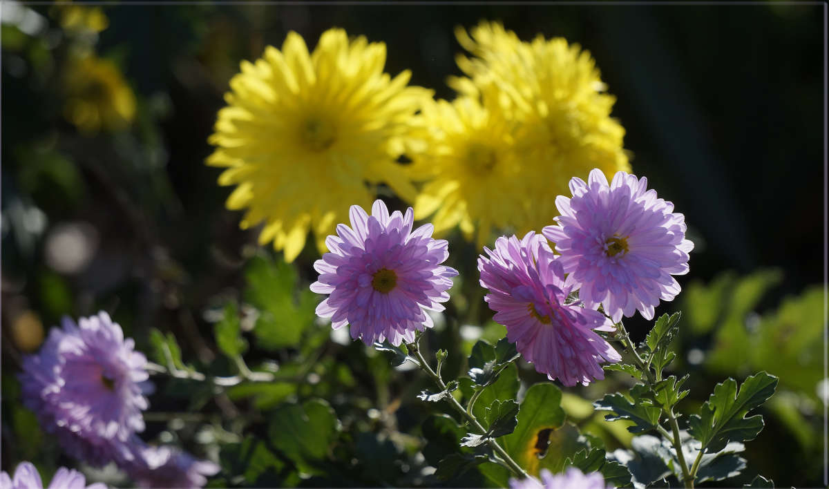 "������" ����� ������ ������ �� PhotoGeek.ru #������ ��� �������