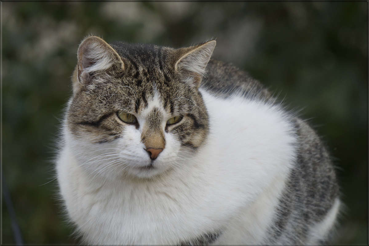 "�������� ���""����� ��������� 6" ����� ������ ������ �� PhotoGeek.ru #�������� ���