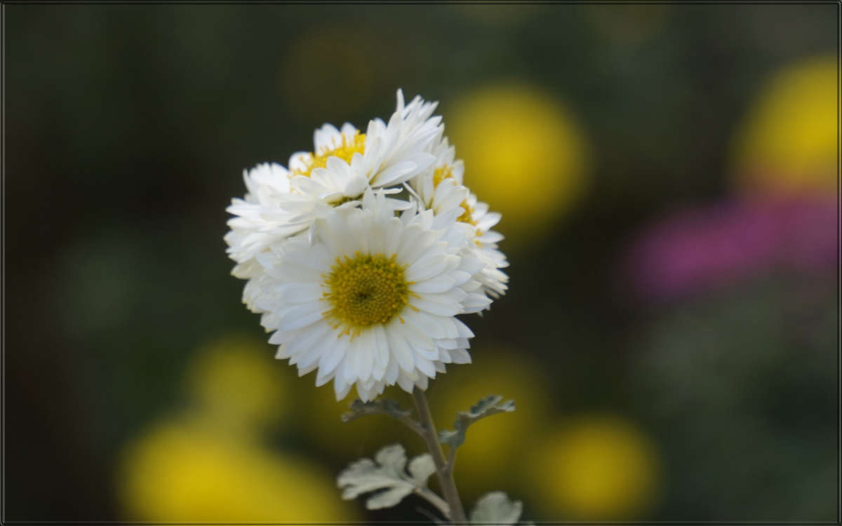 "����� ��������� 7" ����� ������ ������ �� PhotoGeek.ru #������ ��� �������