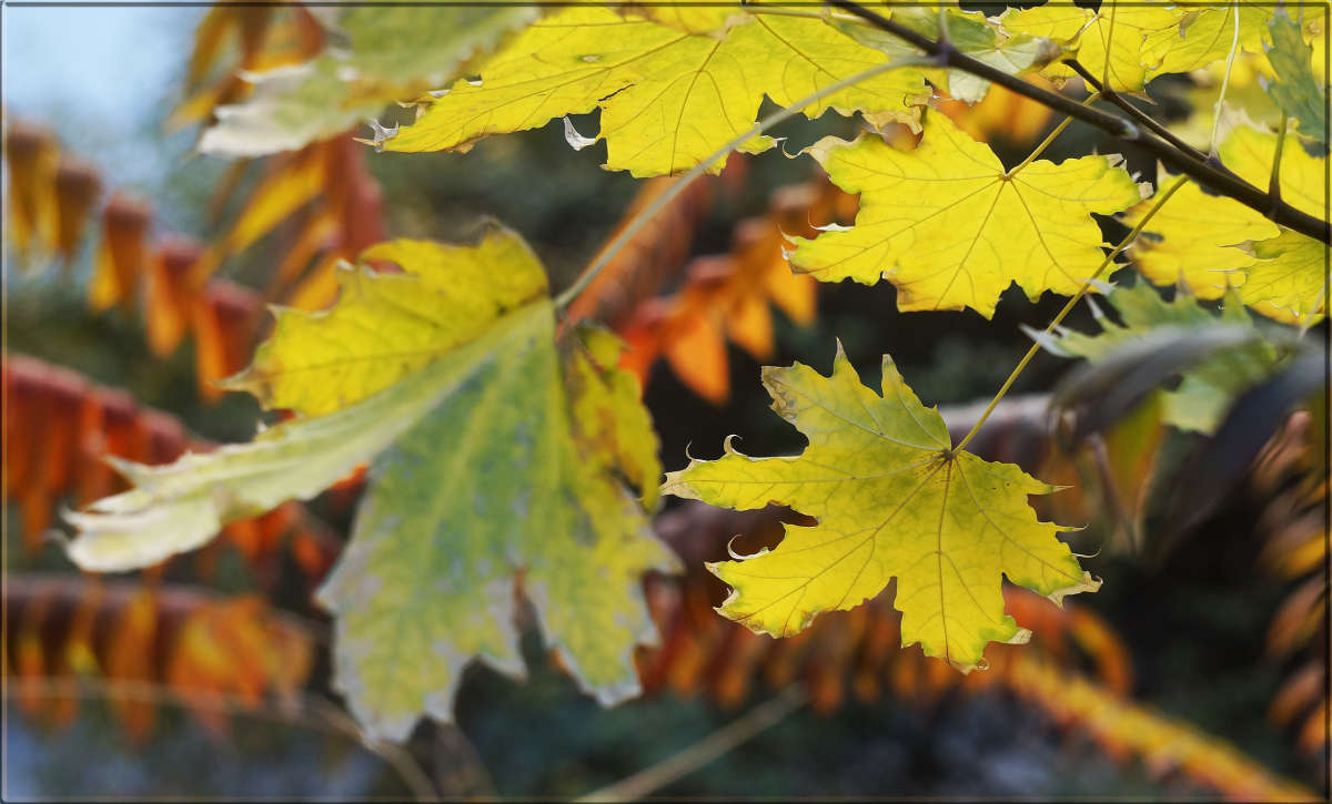 "������ ����� �������� 2" ����� ������ ������ �� PhotoGeek.ru #������ ��� �������