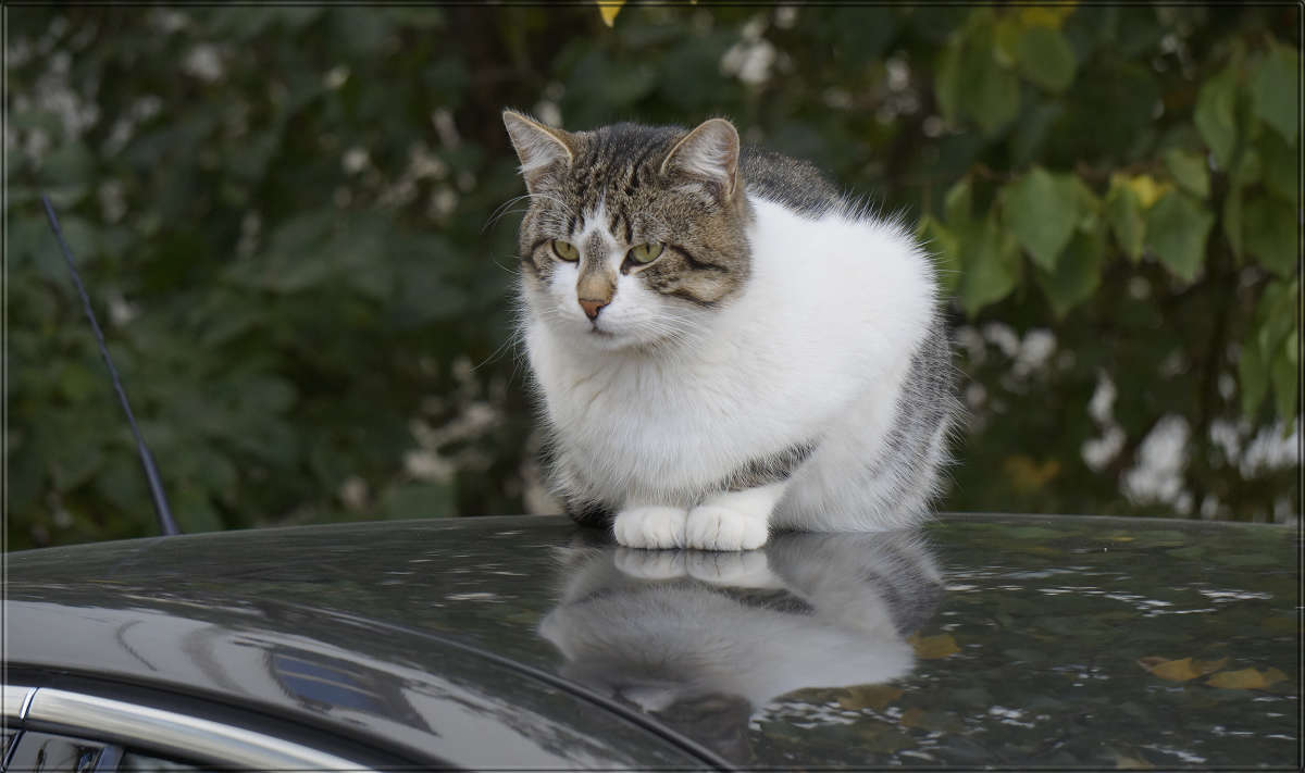 "�������� ��� 2" ����� ������ ������ �� PhotoGeek.ru #�������� ���