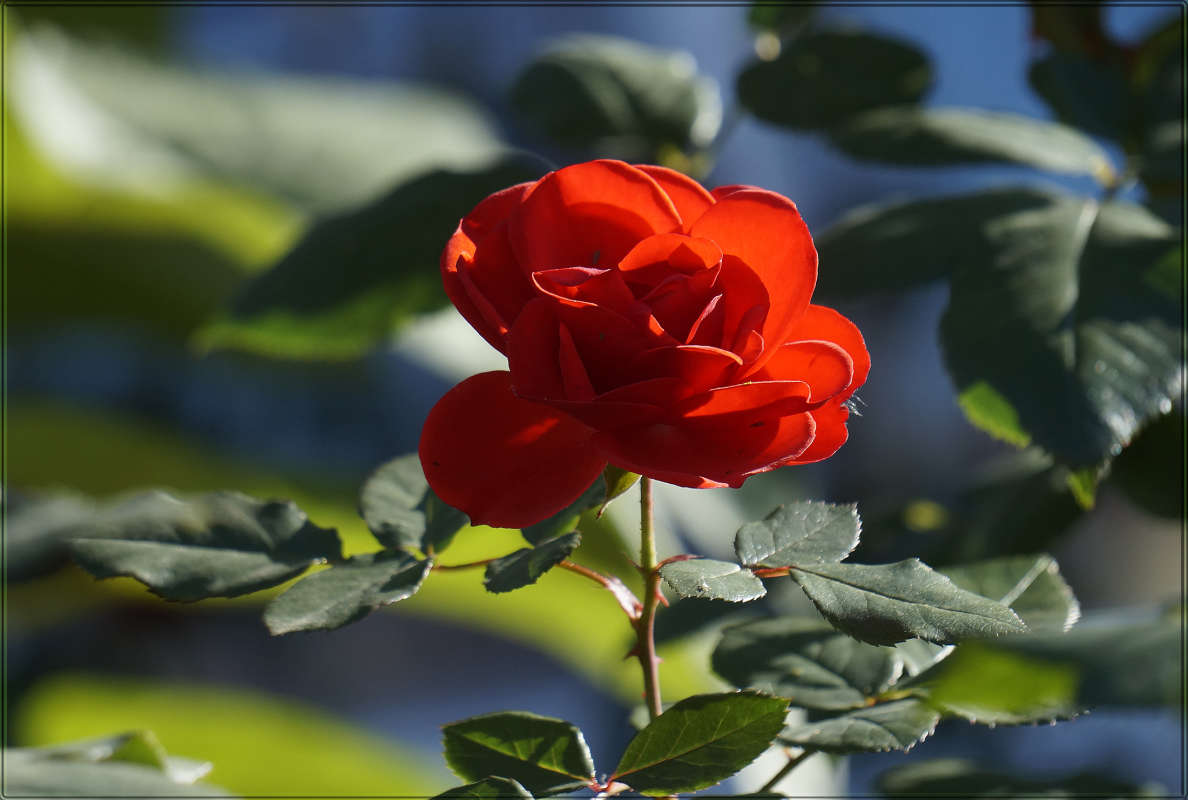 ����� ��������� 7 ����� ������ ������ �� PhotoGeek.ru #������ ��� �������