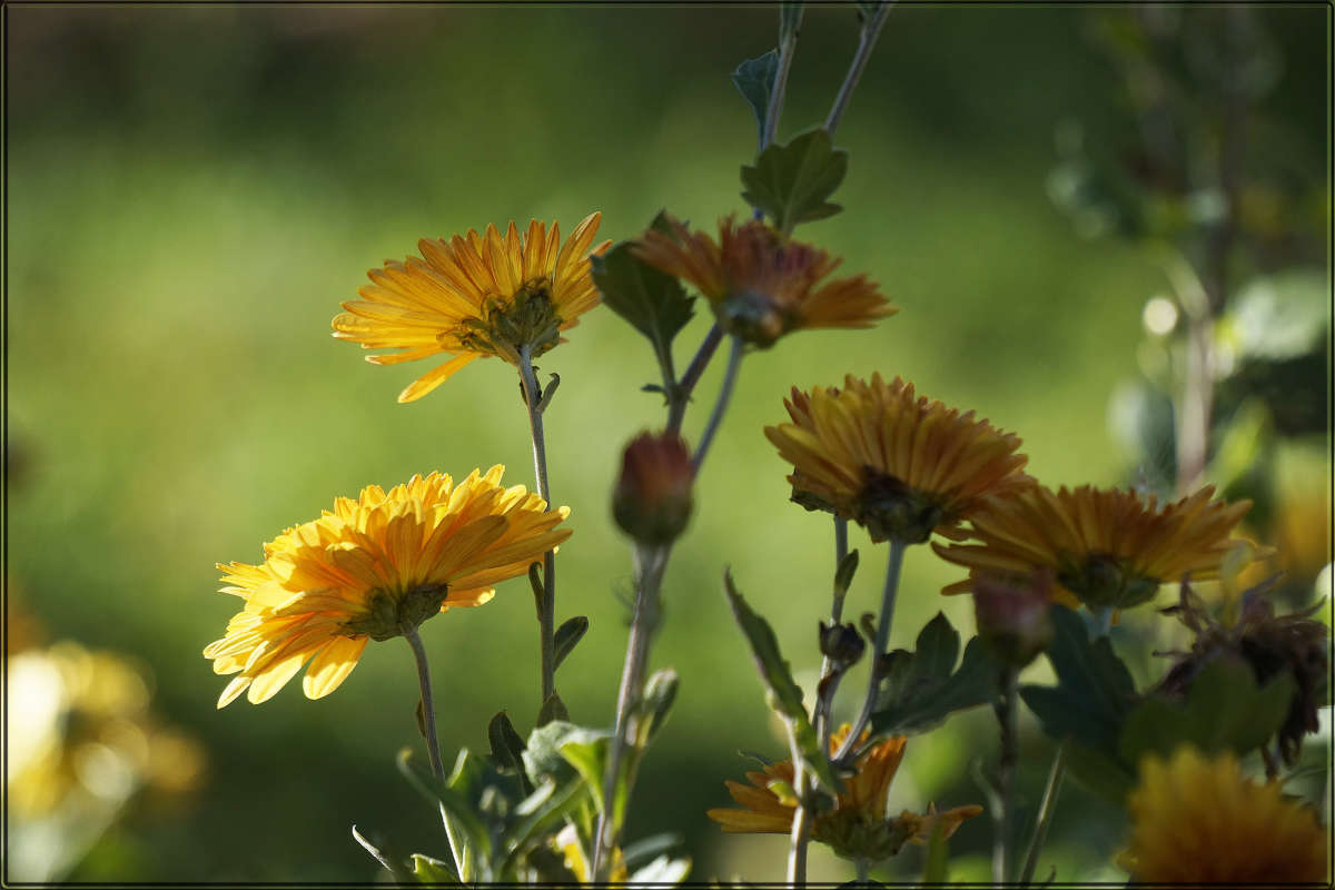 "��������� ������� 13" ����� ������ ������ �� PhotoGeek.ru #������ ��� �������