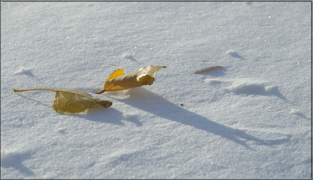 "�� �����" ����� ������ ������ �� PhotoGeek.ru #�������� ����������