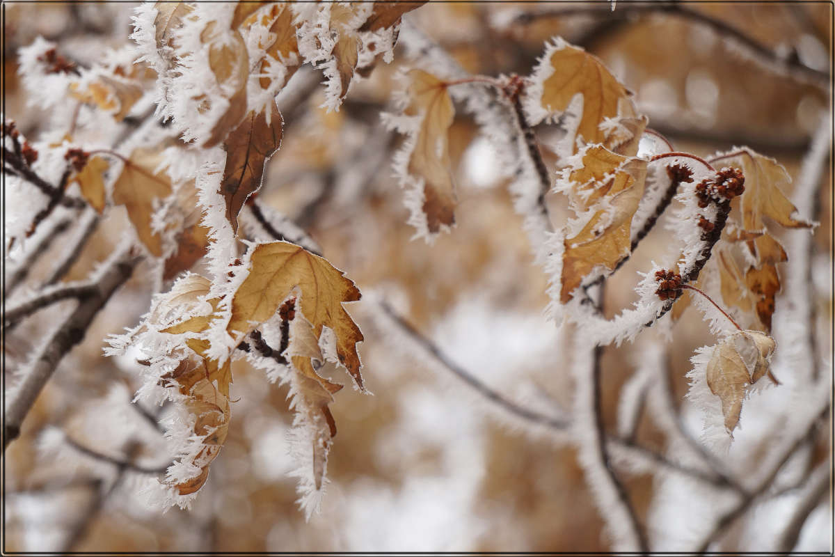 "��������� ����� 5" ����� ������ ������ �� PhotoGeek.ru #������ ��� �������