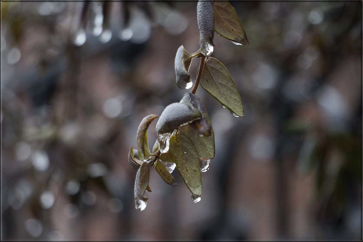 "�� ������ � �����" ����� ������ ������ �� PhotoGeek.ru #������ ��� �������