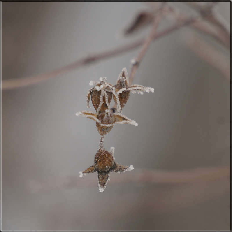 "��� �� ����� ���� 3" ����� ������ ������ �� PhotoGeek.ru #������ ��� �������