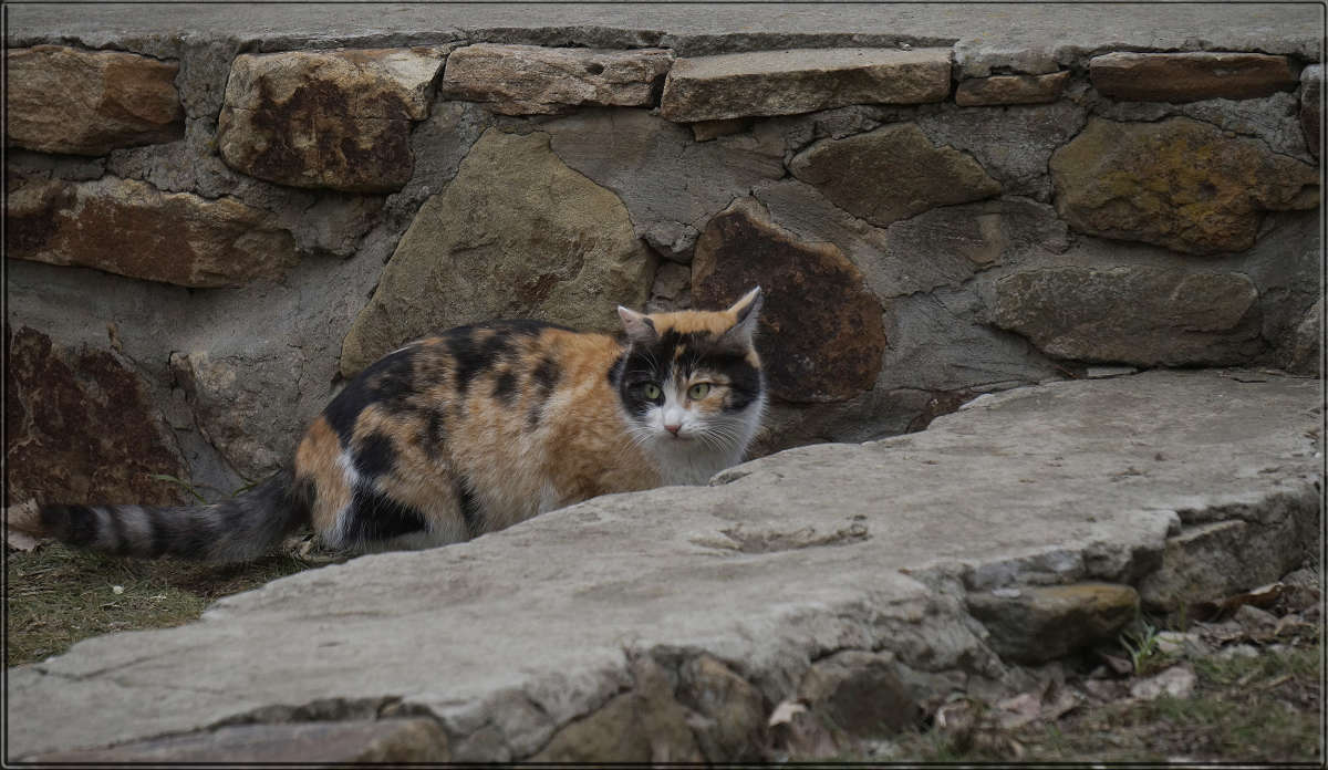 "����������" ����� ������ ������ �� PhotoGeek.ru #�������� ���