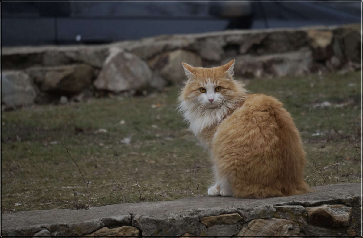 "�����" ����� ������ ������ �� PhotoGeek.ru #�������� ���