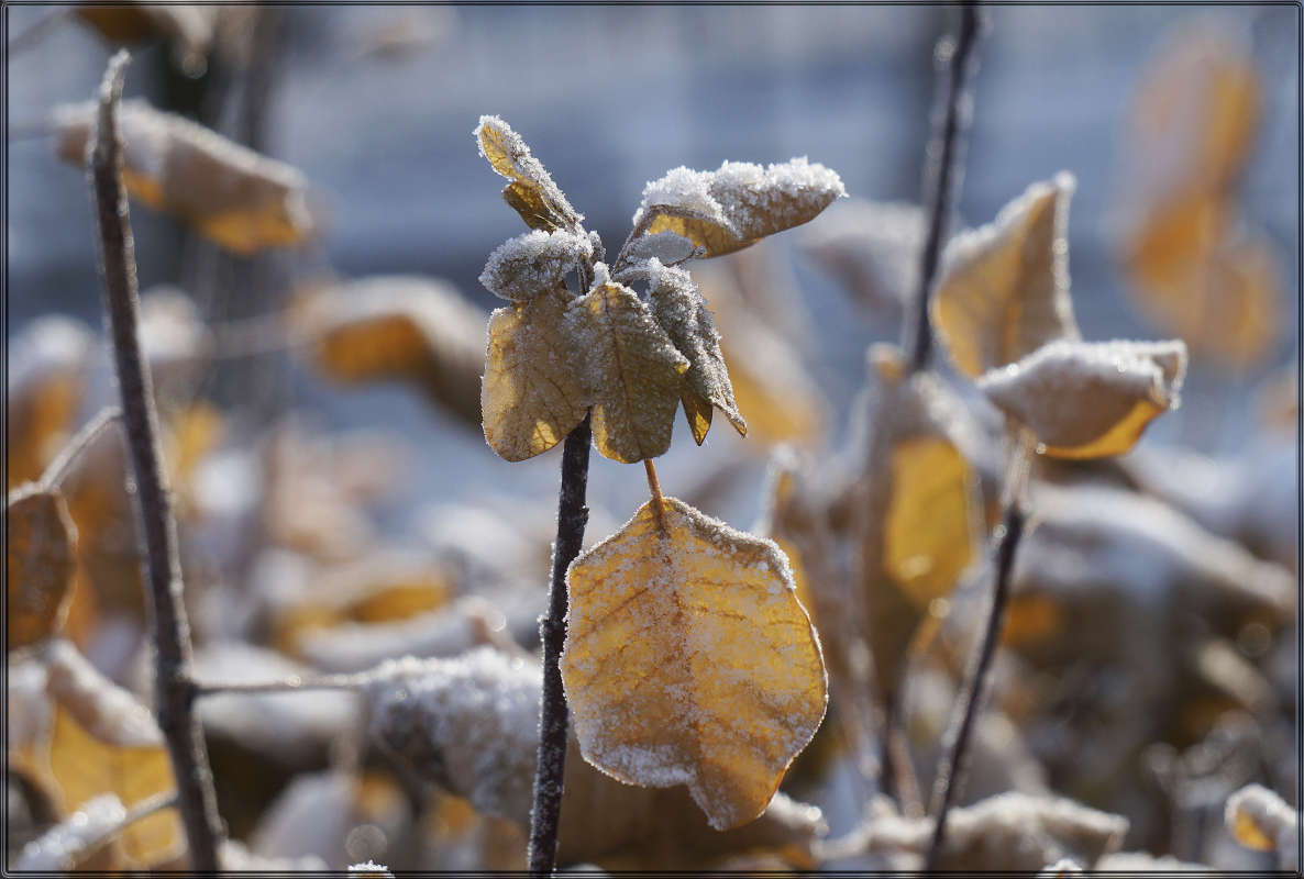 "�������� ���� 5" ����� ������ ������ �� PhotoGeek.ru #������ ��� �������