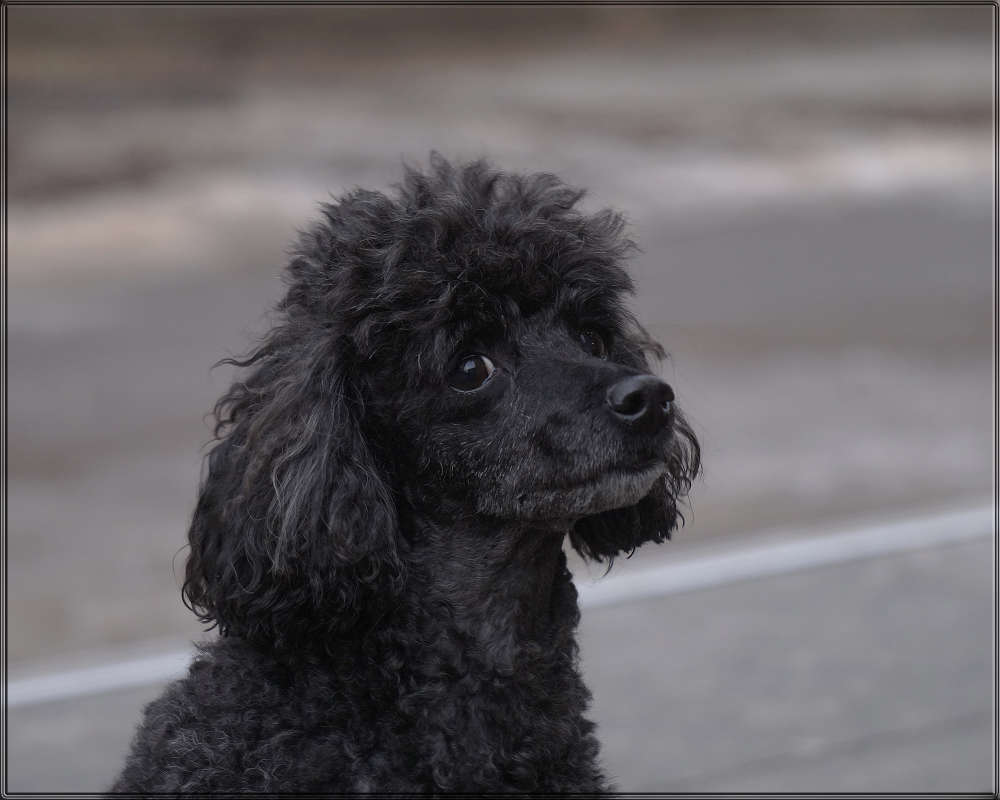 "� �������� 2" ����� ������ ������ �� PhotoGeek.ru #�������� ���