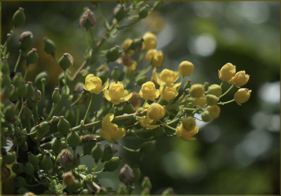 "��������� ��������" ����� ������ ������ �� PhotoGeek.ru #������ ��� �������