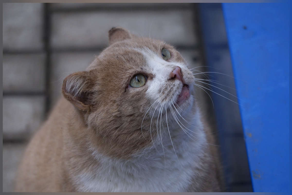 "� �������� �������� �������" ����� ������ ������ �� PhotoGeek.ru #�������� ���